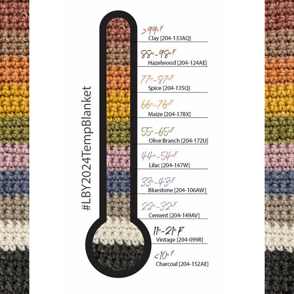 Crochet Temperature Blanket 2024