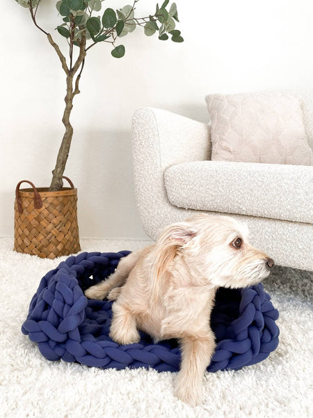 Crochet Kit - Furever Cozy Pet Bed – Lion Brand Yarn