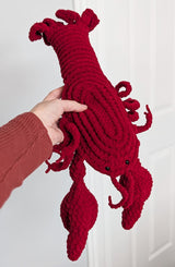 Close up of lobster stuffie held against a white backdrop. It has a fringed tail, to large claws and antenna, and a spiral design on the top of its body. thumbnail