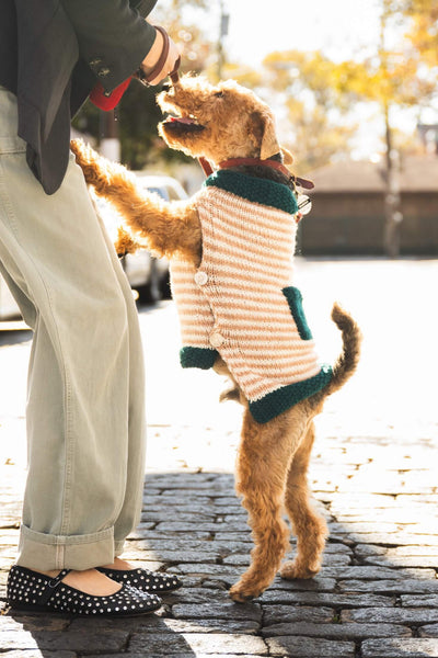 ニット/セーター vintage dog knit Vintage Dog Print Jumper – magpievintageclothing