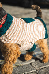 Good Dog Sweater image 4 thumbnail