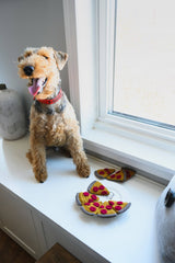 Pizza Pet Toy image 3 thumbnail