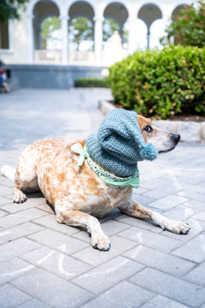 Gizmo Stocking Hoodie Hat (Knit) – Lion Brand Yarn