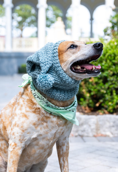 Gizmo Stocking Hoodie Hat (Knit) – Lion Brand Yarn