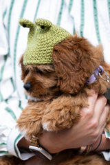 Josie Beanie (Crochet) thumbnail