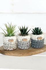 plant baskets thumbnail