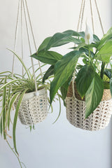 20240801_121229 - Copy (2) thumbnail