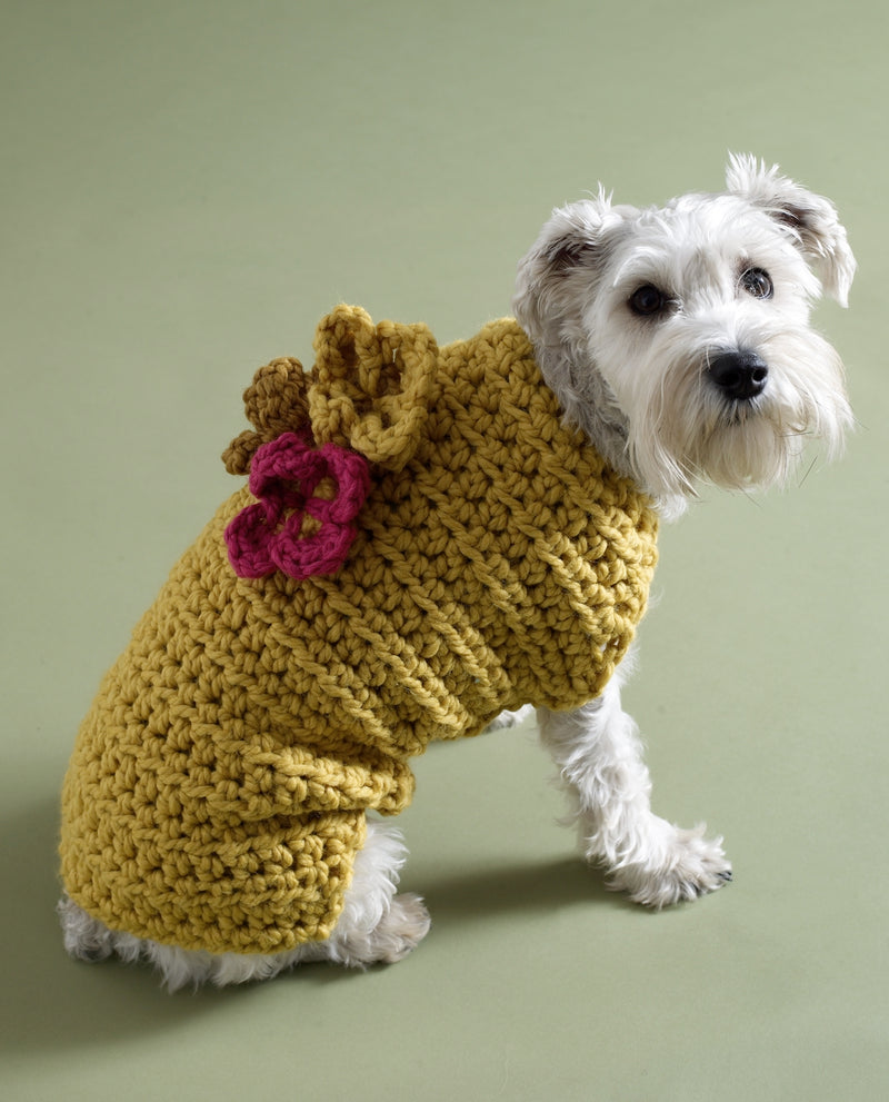 Flower Garden Dog Sweater Pattern (Crochet)