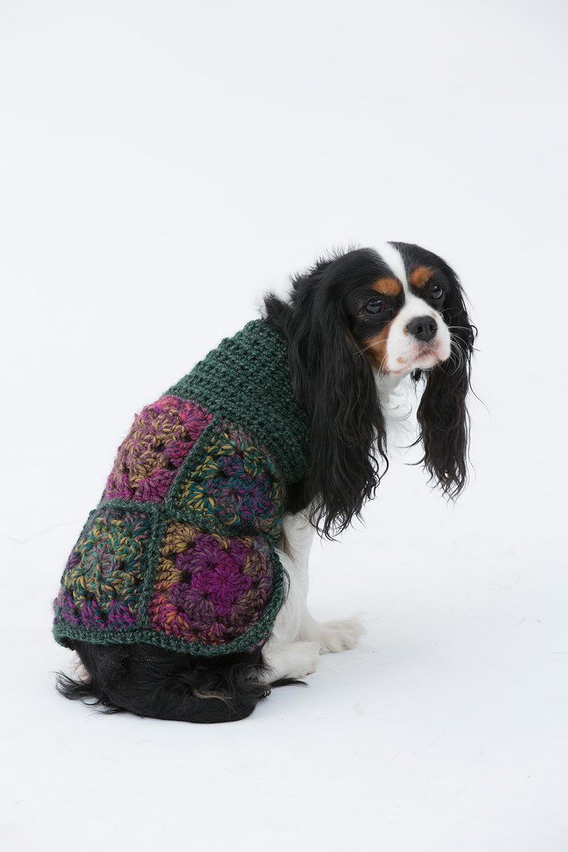 The Hippie Dog Sweater Pattern (Crochet)