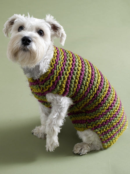 City Stripes Dog Sweater Pattern (Knit) – Lion Brand Yarn