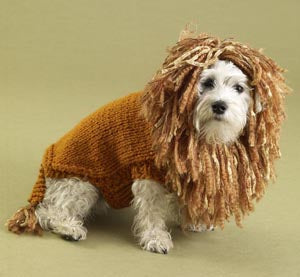 King of the Beasts Lion Dog Sweater Pattern (Knit)