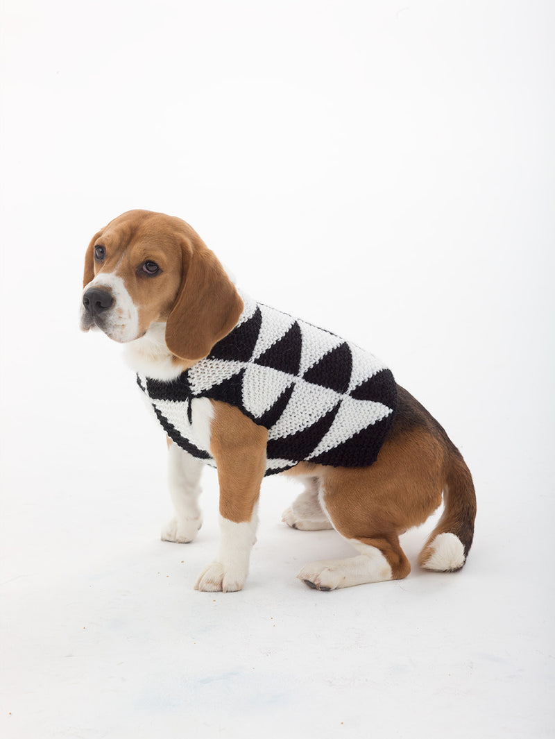 Modernist Dog Sweater Pattern (Knit)