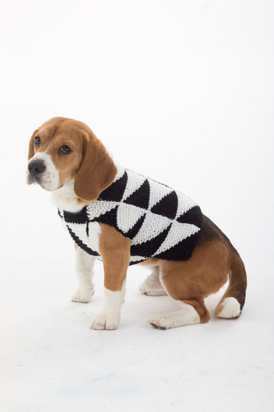 Modernist Dog Sweater Pattern (Knit) – Lion Brand Yarn