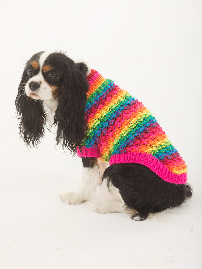 The Proud Supporter Dog Sweater Pattern (Knit)