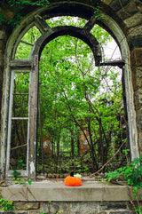 Fuzzy Pumpkin image 2 thumbnail