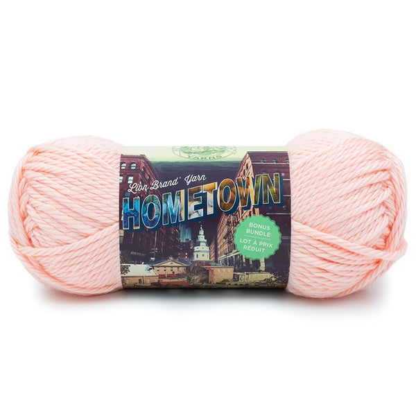  Lion Brand Knitting Yarn Hometown Louisville Julep 3-Skein  Factory Pack (Same Dye Lot) 135-117 Bundle with 1 Artsiga Crafts Project Bag