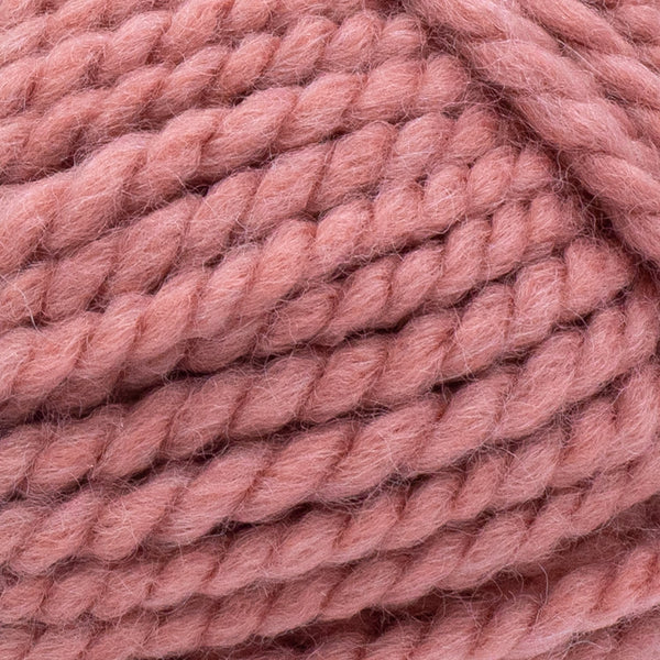 Lion Brand Wool-Ease Thick & Quick Yarn-Jam Cookie