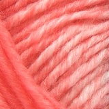 swatch__Coral/Cream thumbnail