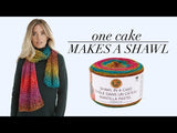 Shawl in a Cake Yarn - Discontinued thumbnail
