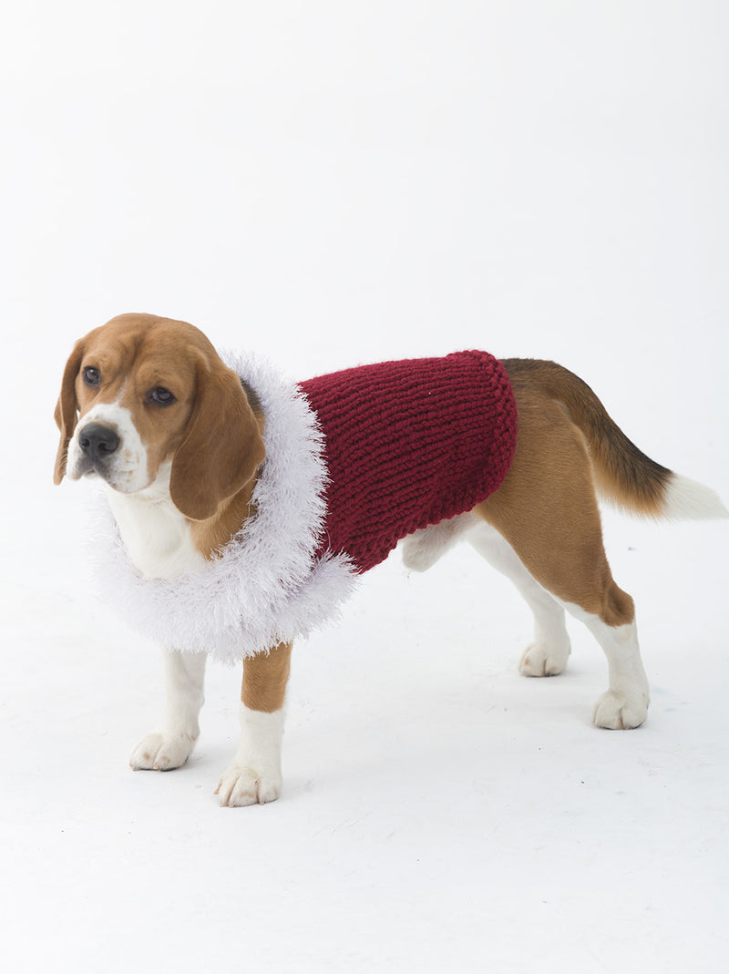 The Celebrator Dog Sweater (Knit)