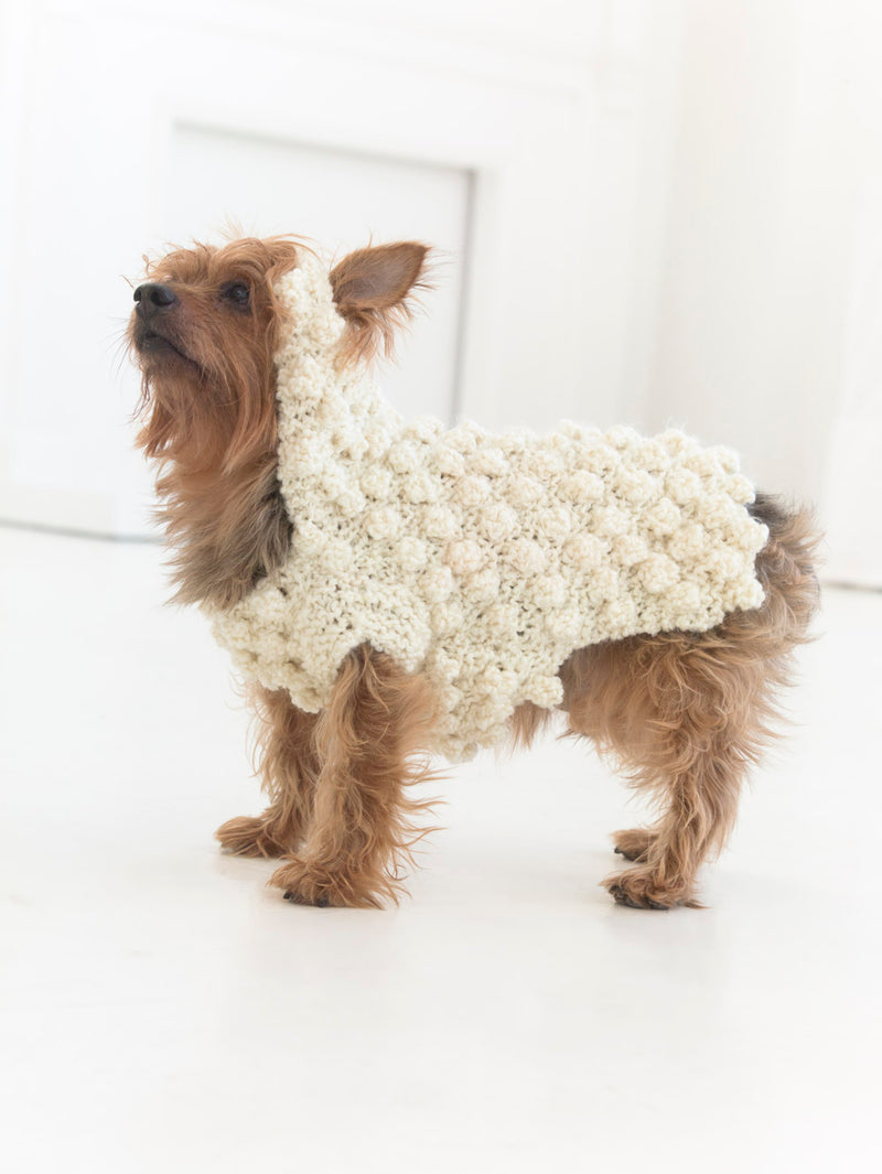 Year Of The Dog Sweater (Knit)
