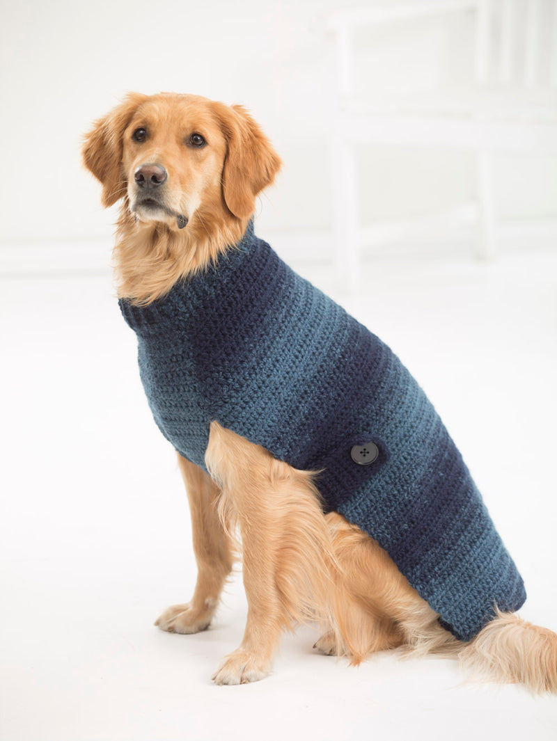 Asta Dog Sweater (Crochet) - Version 1