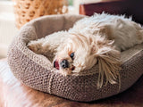 Crochet Dog Bed thumbnail