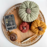 Rustic Chunky Pumpkins (Crochet) thumbnail
