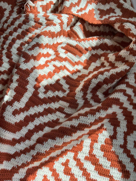 Crochet Kit - Squiggle Me This Blanket – Lion Brand Yarn