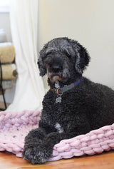 B72636 image 1 thumbnail