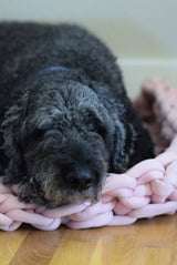 B72636 image 2 thumbnail