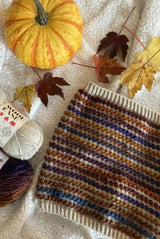 Flat lay of striped cowl with leaves and pumpkin thumbnail