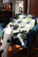 Crocheted blanket draped over teal chair, with a black and white cat standing on hind legs to investigate.  thumbnail