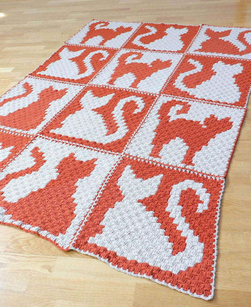 Crochet Kit - C2C Cat Lady Blanket – Lion Brand Yarn