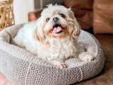 Crochet Dog Bed thumbnail
