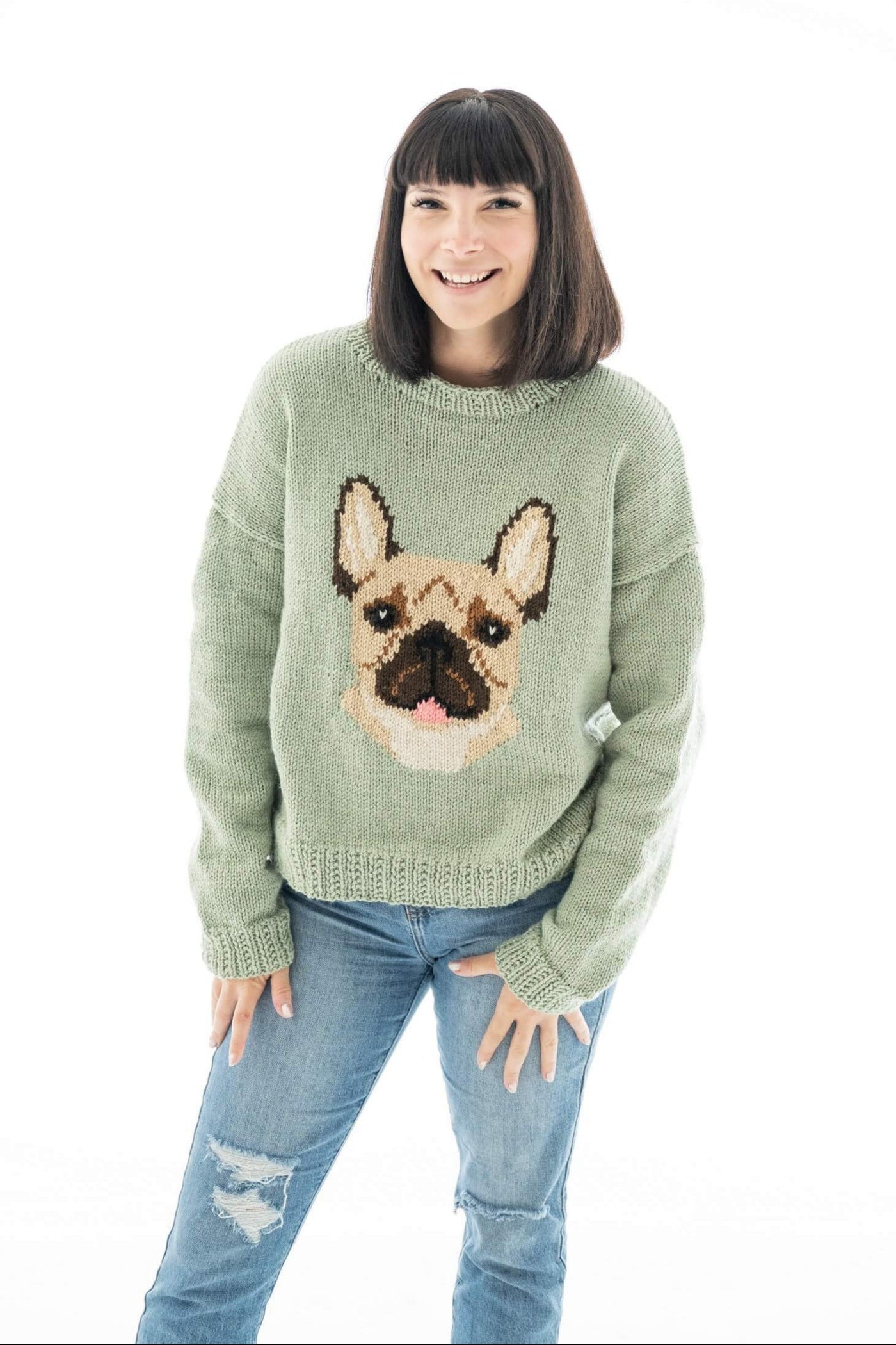 Dog Pullover (Knit) – Lion Brand Yarn
