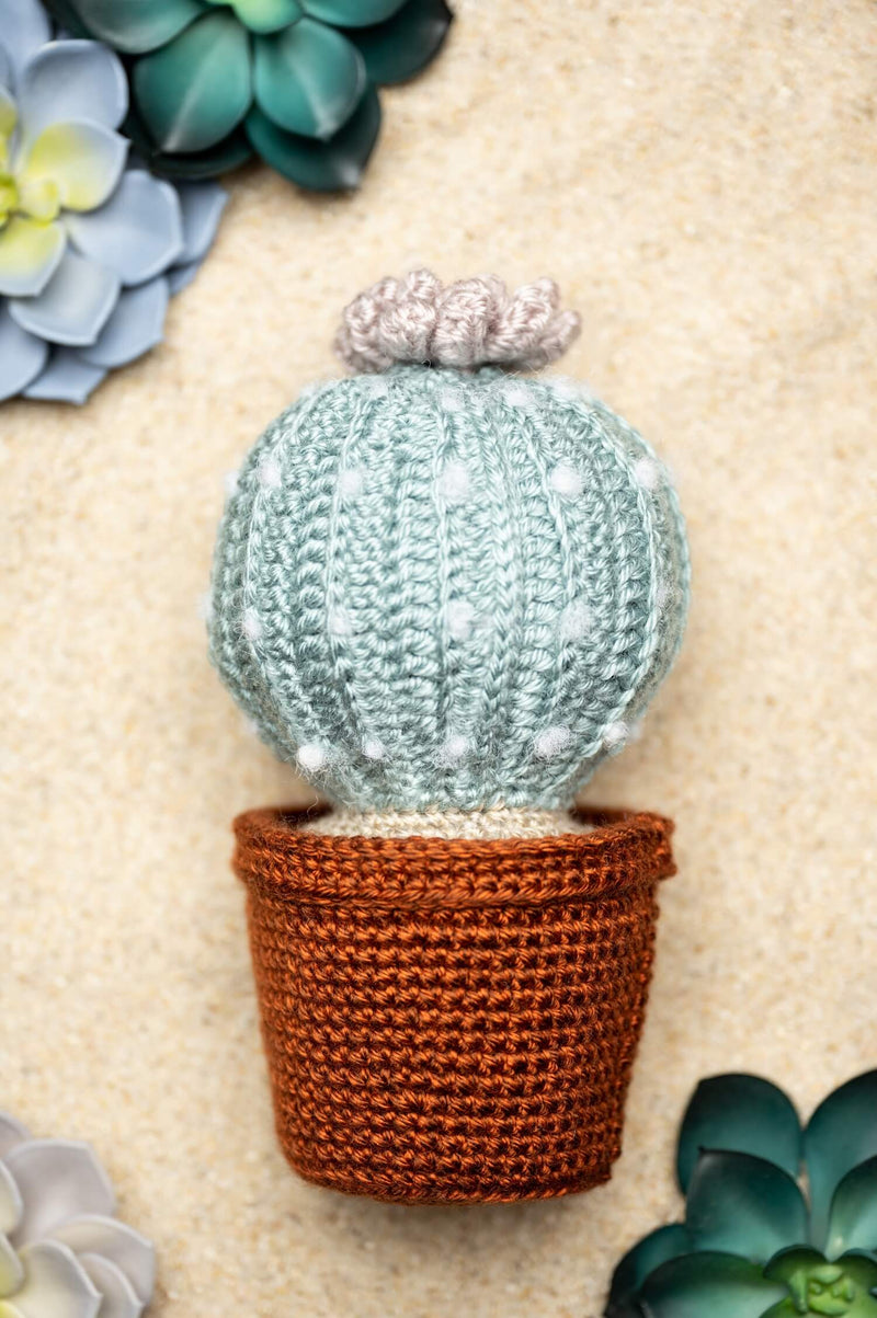 Amigurumi Succulent in Pottery (Crochet)