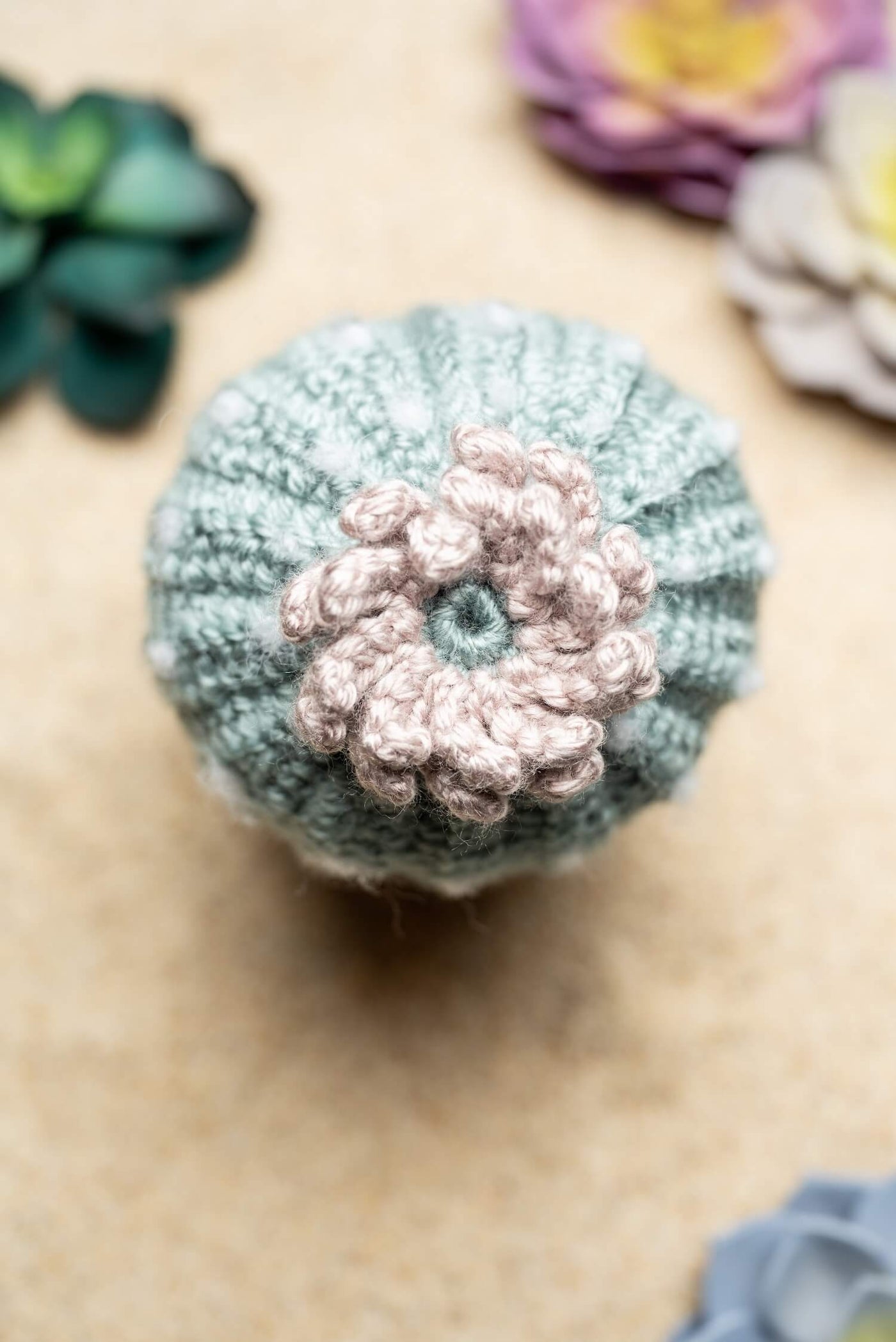 lion brand yarn succulent Amigurumi Succulent in Pottery (Crochet) – Lion Brand Yarn