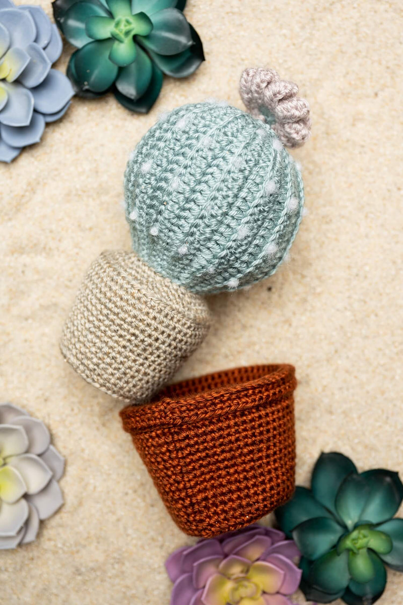 Amigurumi Succulent in Pottery (Crochet)