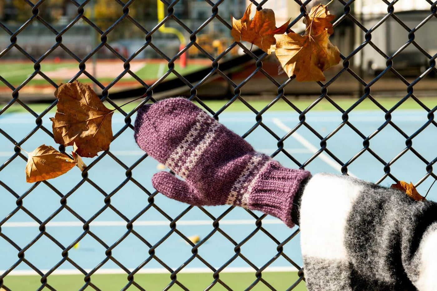 2-Color Mittens (Knit) – Lion Brand Yarn