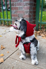 Freddie Tied Hood (Knit) thumbnail