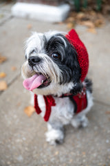 Freddie Tied Hood (Knit) thumbnail