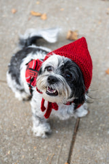 Freddie Tied Hood (Knit) thumbnail