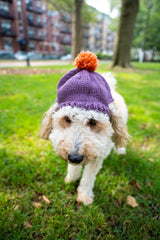 Lola Pom-Pom Beanie (Knit) thumbnail