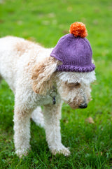 Lola Pom-Pom Beanie (Knit) thumbnail