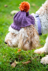 Lola Pom-Pom Beanie (Knit) thumbnail