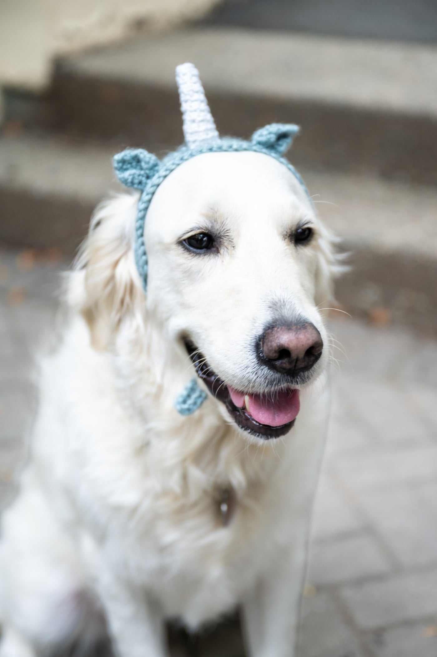 Riley Unicorn Headband (Crochet) – Lion Brand Yarn