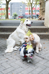 Josie Beanie (Crochet) thumbnail