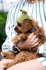 Josie Beanie (Crochet) thumbnail