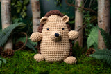 Cute hedgehog amigurumi toy thumbnail